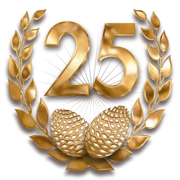 25 year logo sw